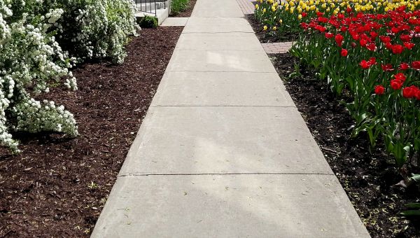 Cost of Sidewalk Slab Replacement in Columbus